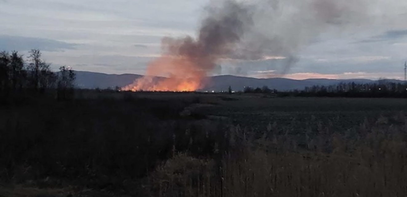 (VIDEO-FOTO) Vatra je progutala vredno prirodno stanište pored Futoga