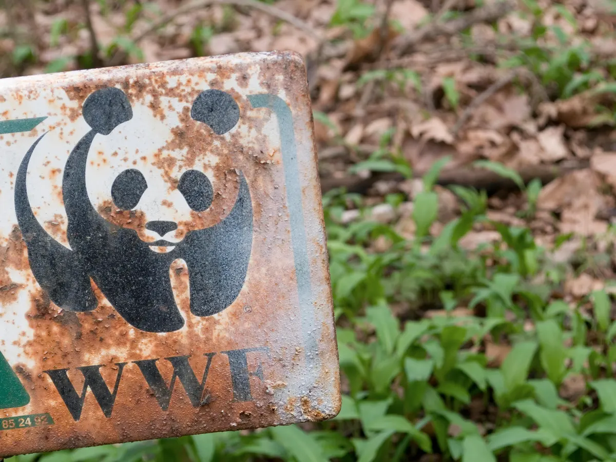 WWF dodat u registar stranih agenata u Rusiji